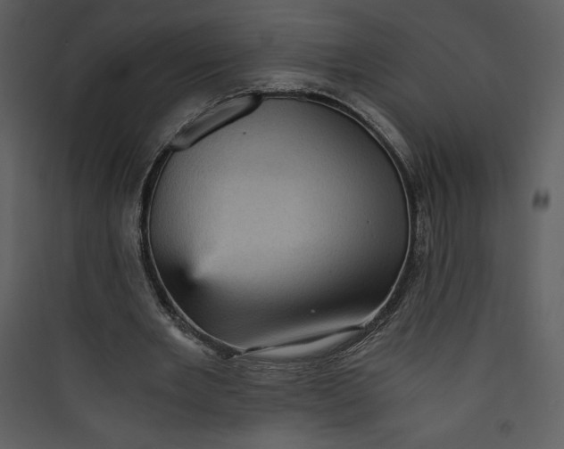 X0000089750485200707121344