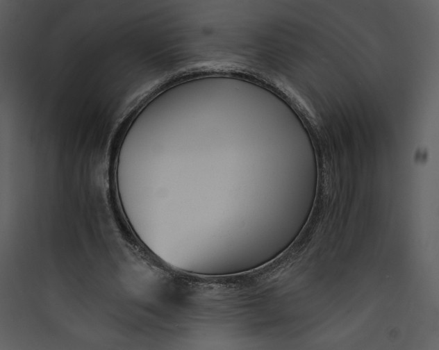 X0000089750486200707121344