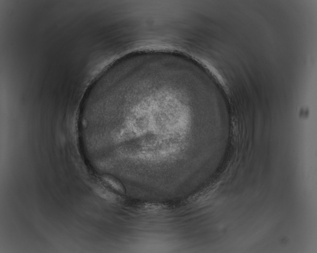 X0000089750487200707121344