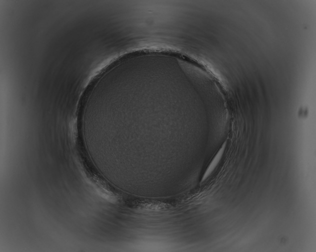 X0000089750488200707121344