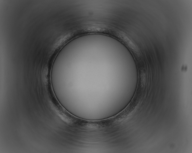 X0000089750490200707121344