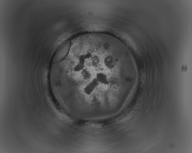 X0000089750491200707121344