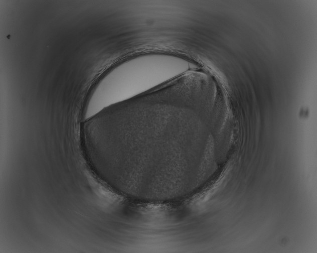 X0000089750493200707121344