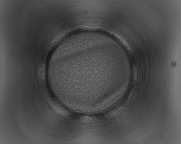 X0000089750494200707121344