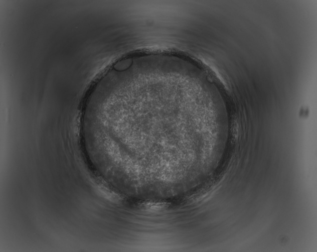 X0000089750495200707121344