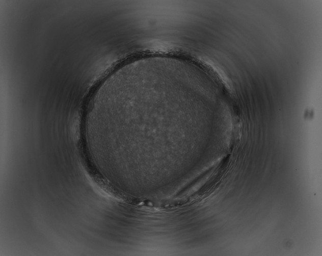 X0000089750496200707121344