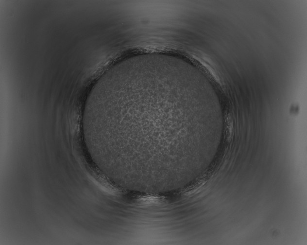 X0000089750499200707121344