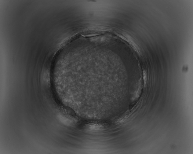 X0000089750500200707121344