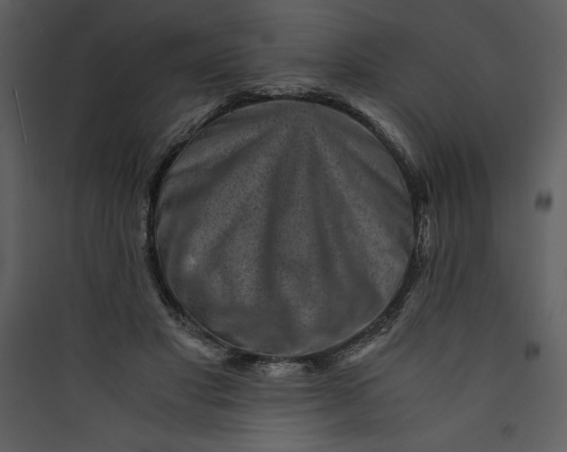 X0000089750501200707121344