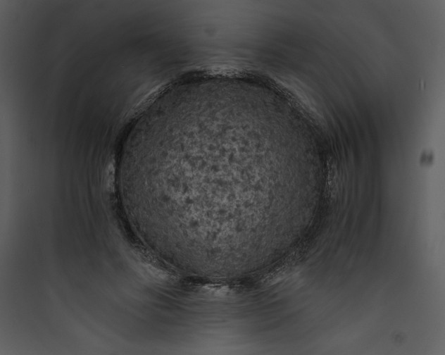 X0000089750502200707121344