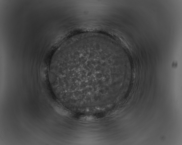 X0000089750503200707121344