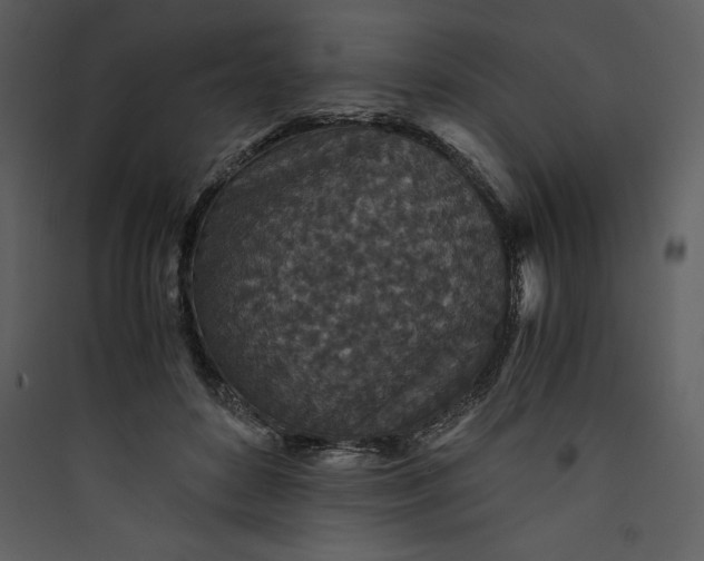 X0000089750504200707121344