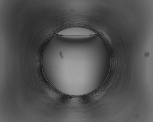 X0000089750505200707121344