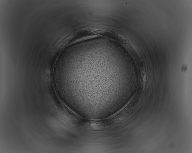 X0000089750506200707121344