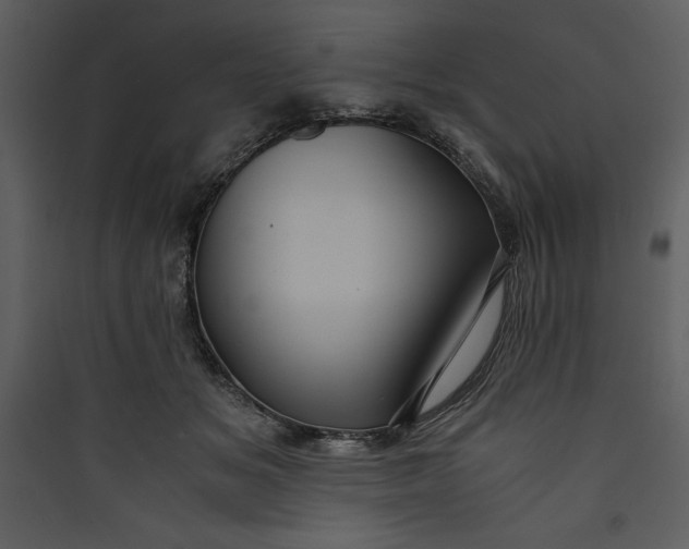 X0000089750509200707121344