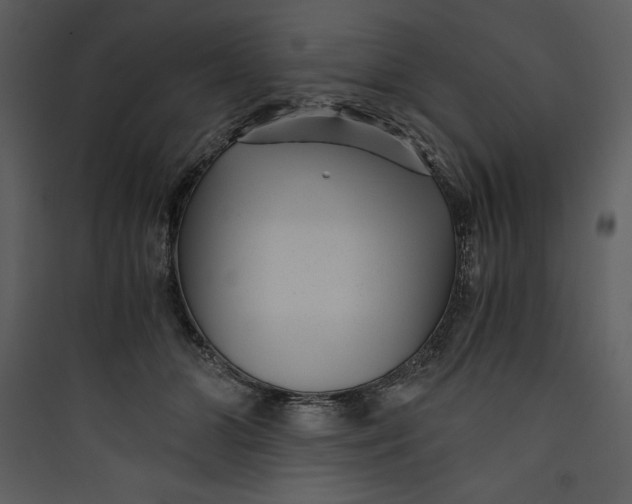 X0000089750510200707121344