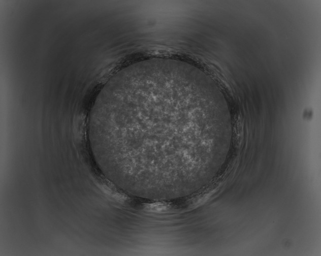 X0000089750511200707121344