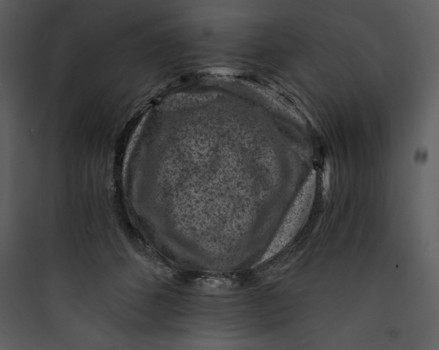 X0000089750512200707121344