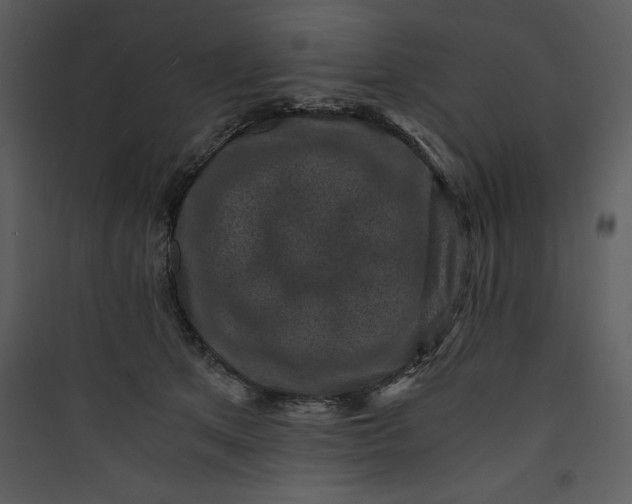 X0000089750513200707121344