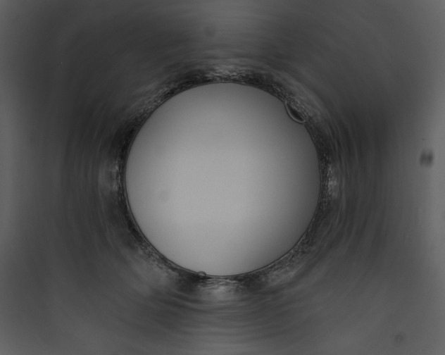 X0000089750514200707121344