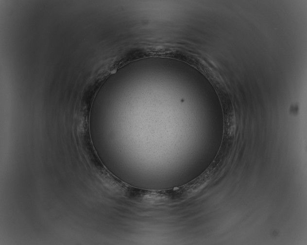 X0000089750515200707121344