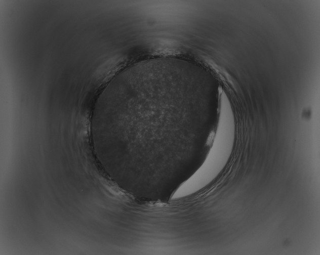 X0000089750517200707121344