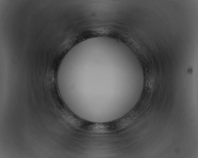 X0000089750518200707121344