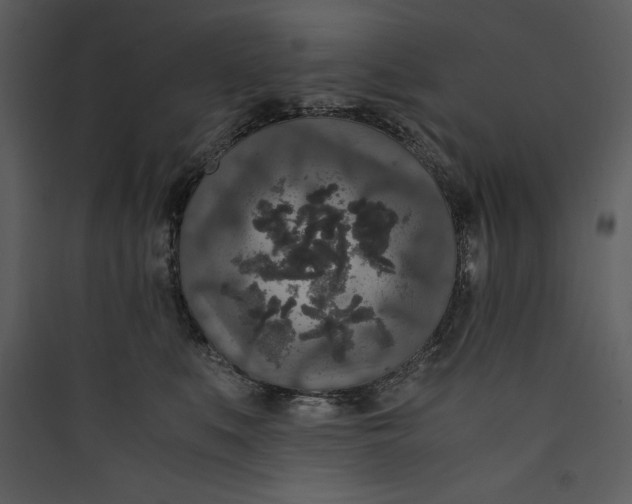 X0000089750519200707121344