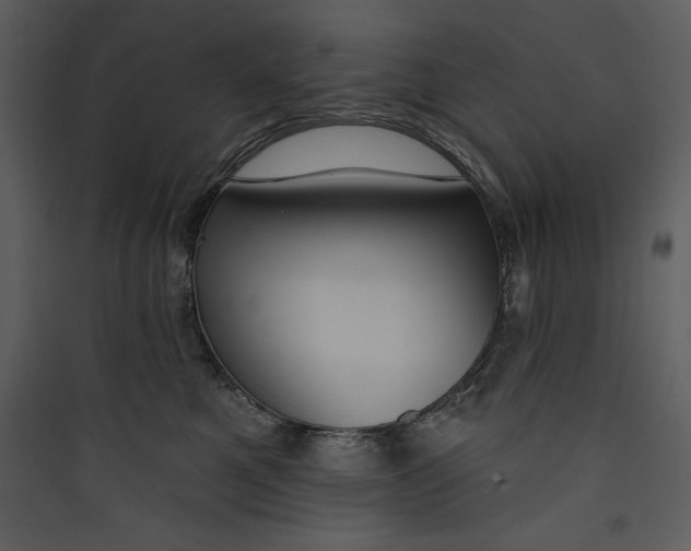 X0000089750521200707121344