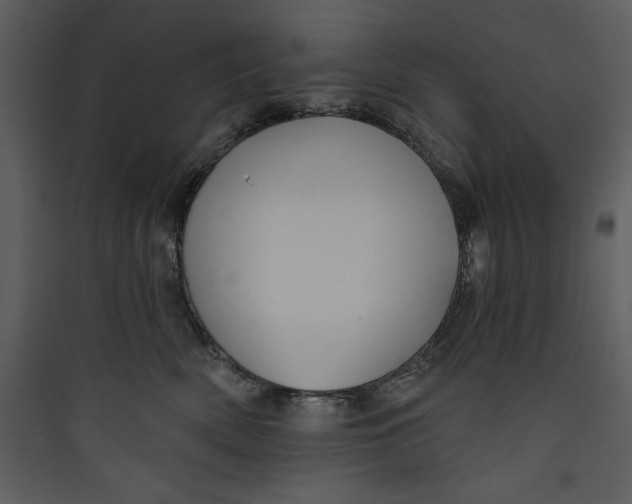 X0000089750522200707121344