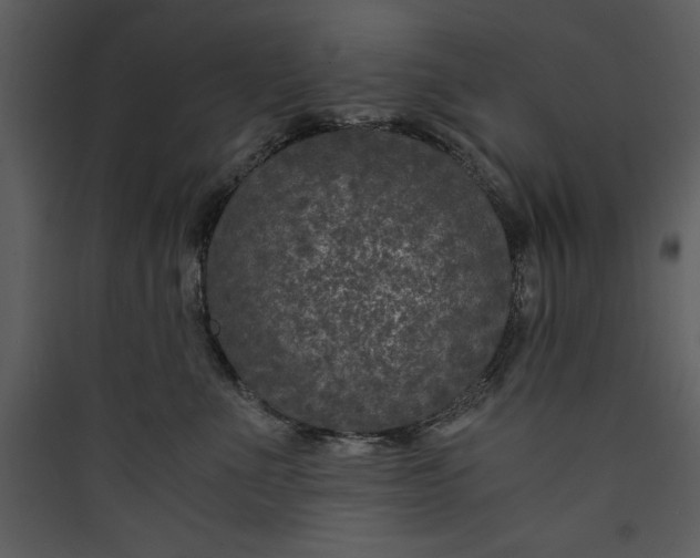 X0000089750523200707121344