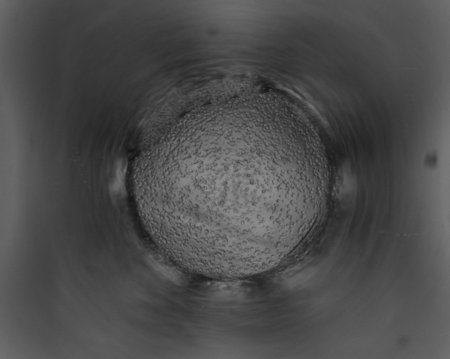 X0000089750524200707121344