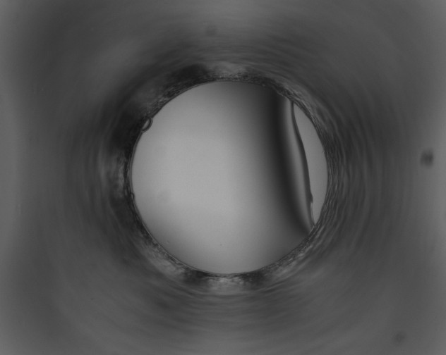 X0000089750525200707121344