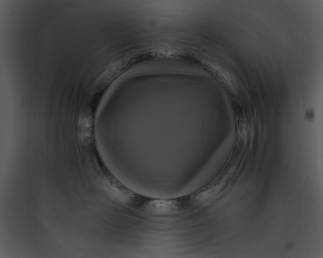 X0000089750526200707121344