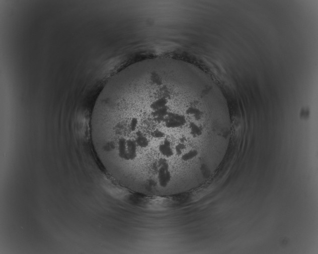 X0000089750527200707121344