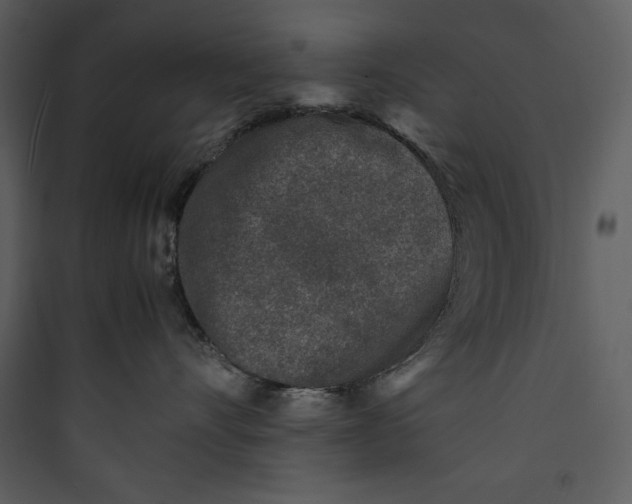 X0000089750528200707121344