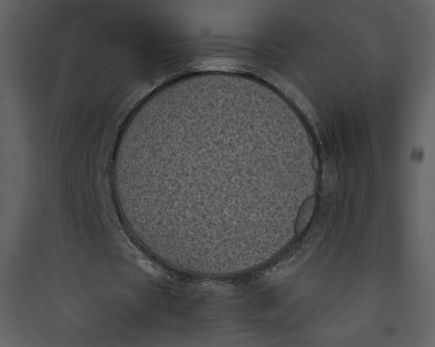 X0000089750529200707121343