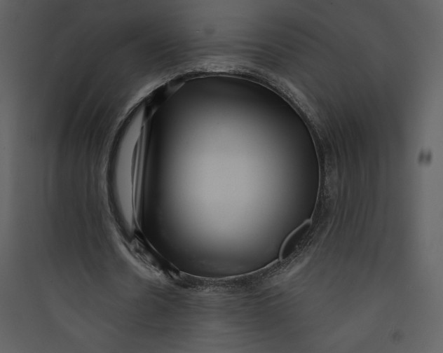 X0000089750530200707121343