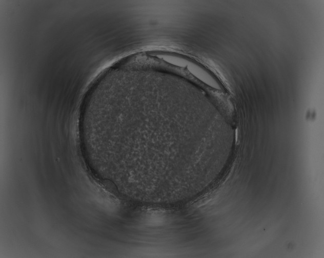 X0000089750531200707121343