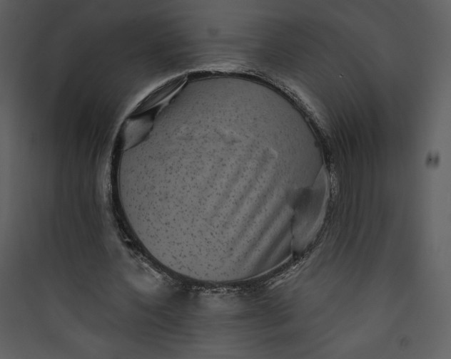 X0000089750532200707121343