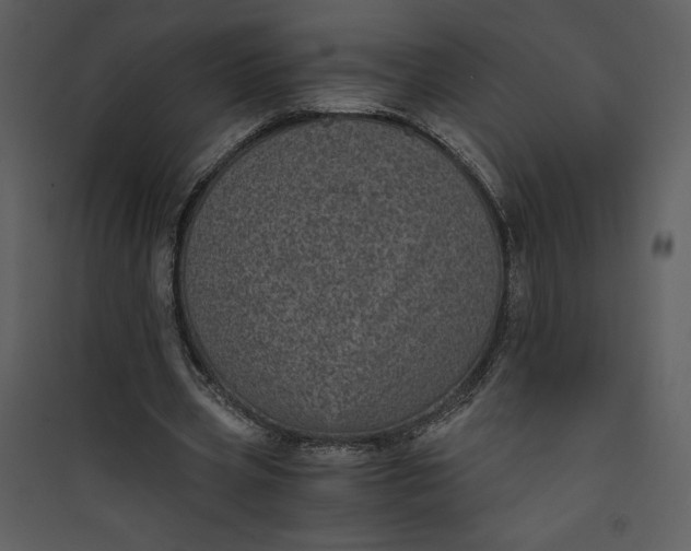 X0000089750533200707121343