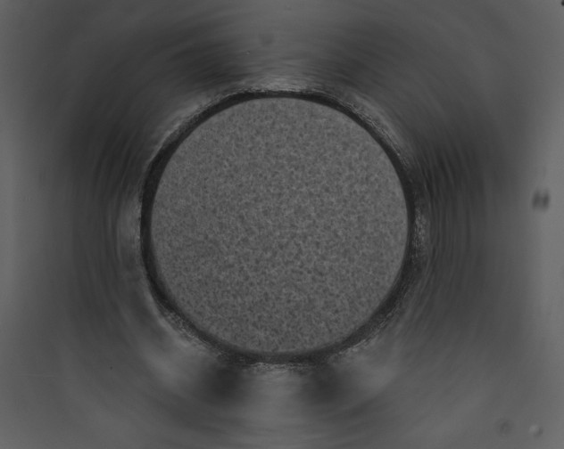 X0000089750534200707121343