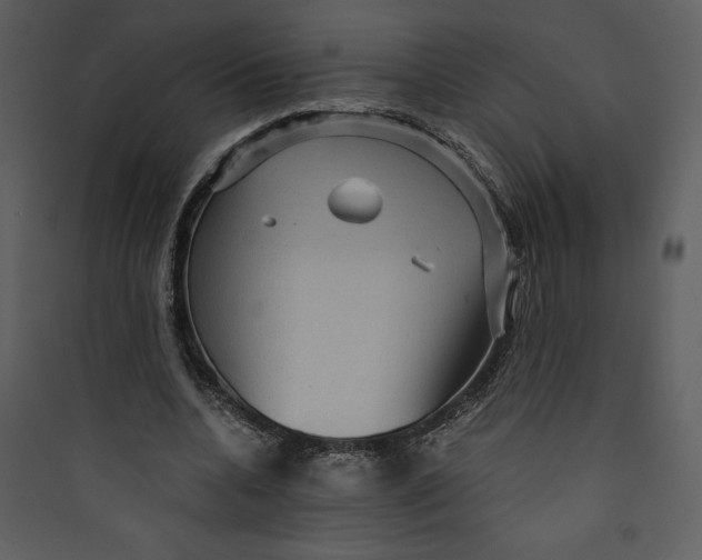 X0000089750536200707121343