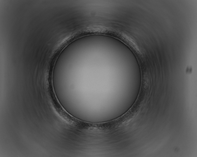 X0000089750538200707121343