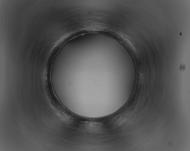 X0000089750539200707121343