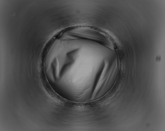 X0000089750540200707121343