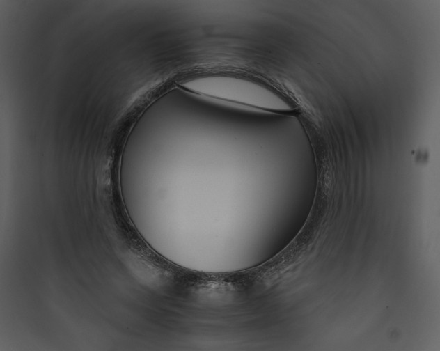 X0000089750543200707121343