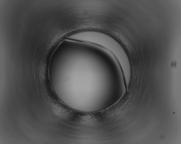 X0000089750544200707121343