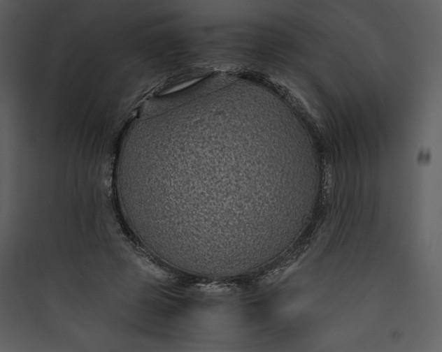 X0000089750545200707121343