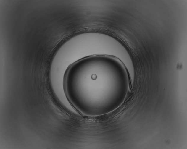 X0000089750546200707121344